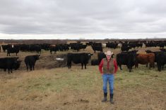 Don Campbell poses by the cow herd in April 2023.