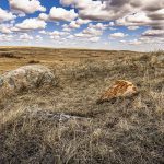 Largest conservation project in Canada underway