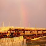 Photo: Canada Beef Inc.