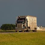 (Photo courtesy Canada Beef Inc.)