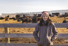 “I really like the connections and the people part of the business.”– Julie Mortenson.