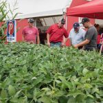 People visit crop plots at Discovery Farm Woodstock during Canada’s Outdoor Farm Show. Photo: Canada’s Outdoor Farm Show