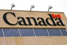 (Dave Bedard/File photo)
