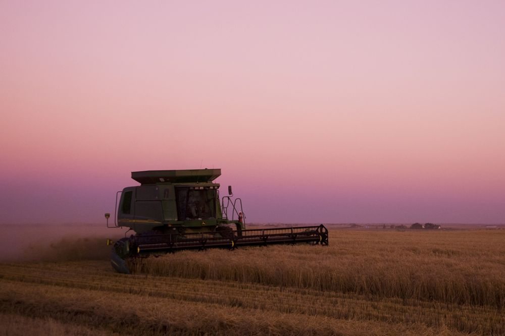 Prairie forecast: unsettled to start then clearing and warmer