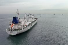 Liberia-flagged bulker K Sukret, carrying grain under the Black Sea Grain Initiative, waits for inspection in the southern anchorage of Istanbul on May 17, 2023. (Photo: Reuters/Mehmet Emin Caliskan)