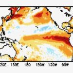 Global sea surface temperature anomalies in degrees Celsius for the week centred on Aug. 30, 2023. (CPC.ncep.noaa.gov)