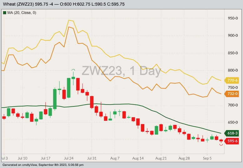 CBOT December 2023 soft red winter wheat with 20-day moving average, MGEX December 2023 hard red spring wheat (yellow line) and K.C. December 2023 hard red winter wheat (orange line). (Barchart)
