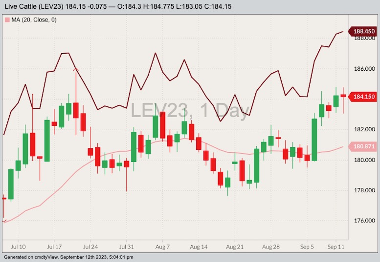 CME October 2023 live cattle with 20-day moving average and December 2023 live cattle (dark red line). (Barchart)
