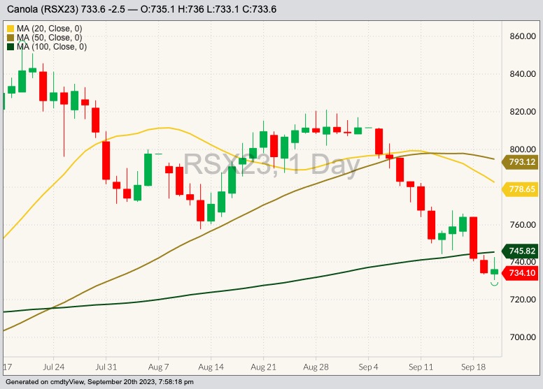 ICE November 2023 canola with 20-, 50- and 100-day moving averages. (Barchart)
