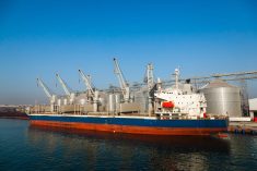 File photo of a bulk vessel at a port grain terminal at Constanta, Romania. (Sergii Zhmurchak/iStock/Getty Images)