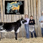 Champion Commercial Female from the Summer Synergy/National Junior Speckle Park Show.