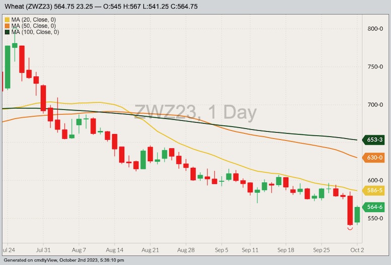 CBOT December 2023 soft red winter wheat with 20-, 50- and 100-day moving averages. (Barchart)
