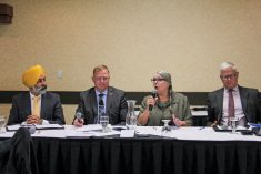 Manitoba’s incumbent NDP ag critic Diljeet Brar and Tory ag minister Derek Johnson appeared with Green Party leader Janine Gibson and Liberal candidate Neil Stewart (l-r) on Sept. 12, 2023 at a forum hosted by the Manitoba Farm Writers and Broadcasters Association. (Manitoba Co-operator photo by Geralyn Wichers)