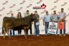 REW 143K Afterhours Kali, exhibited by Austyn Kishkan, 100K Jackpot winner.