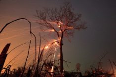 A tract of Amazon jungle burns as it is cleared by farmers at Rio Pardo in Brazil’s Rondonia state on Sept. 15, 2019. (File photo: Reuters/Ricardo Moraes)
