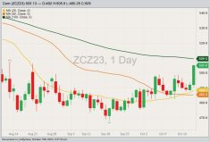 CBOT December 2023 corn with 20-, 50- and 100-day moving averages. (Barchart)