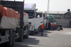 People gather around trucks carrying humanitarian aid that entered the Gaza Strip from Egypt via the Rafah border crossing on October 21, 2023. The first of 20 trucks carrying humanitarian aid entered the war-torn and besieged Gaza Strip on October 21 through the Rafah border crossing with Egypt, said AFP correspondents on both sides. Photo: Majdi Fathi/NurPhoto.
