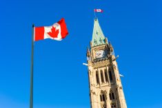 CCA reports: Trade, support programs and processing regs fill fall agenda