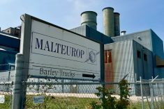 Malteurop, which operates a malt house at the east end of Winnipeg, is one of several malting companies with a presence in Manitoba. (Dave Bedard photo)

