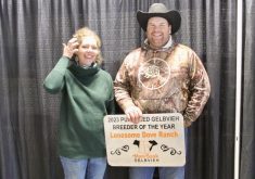 VIDEO: Lonesome Dove named Gelbvieh Breeder of the Year at Agribition