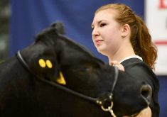 Danika Mayer in the show ring.