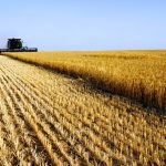 Photo: iStock