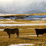 CCA reports: Closing the book on 2023