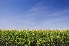 Photo: Thinkstock