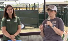 VIDEO: How to manage your grazing in times of drought