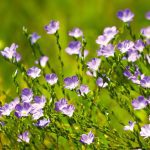 Photo: Thinkstock