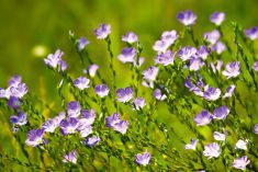 Photo: Thinkstock