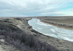 In early December, the Saskatchewan River was at its second lowest level in the past 23 years.   Photo: Alex McCuaig
