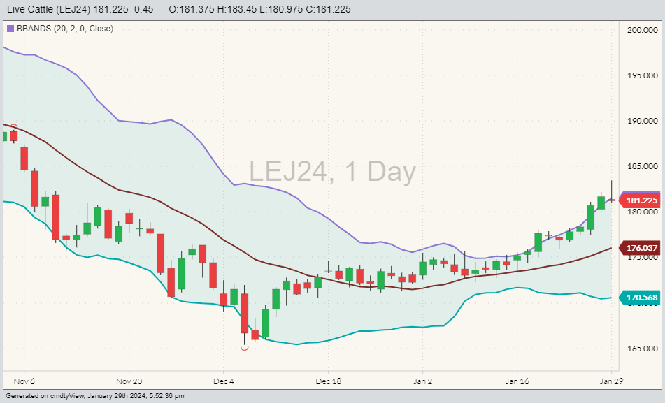 CME live cattle LEJ24 on Jan. 29 with Bollinger bands. (Barchart)
