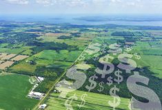 Photo: Excentric_01/iStock/Getty Images