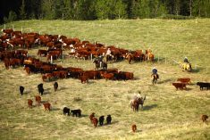 VIDEO: Seven habits of highly effective ranch families