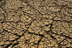 Alberta forms drought advisory committee