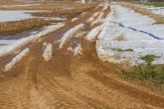 File photo of snowmelt on a gravel road. (PBouman/iStock/Getty Images)