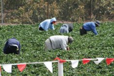 The money will be aimed at improving living quarters for temporary foreign workers, the federal government said.  Photo: Getty Images