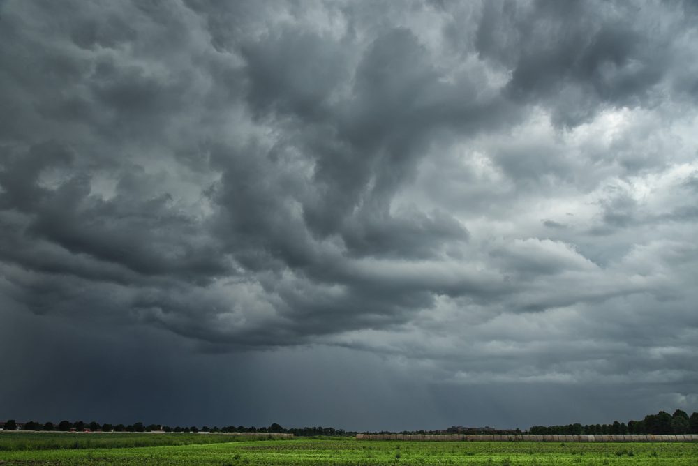 Photo: SusanneSchulz/iStock/Getty Images
