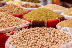 (Iggi_Boo/iStock/Getty Images)
