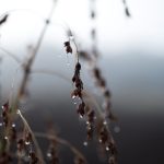Photo: Yarphoto/iStock/Getty Images