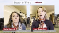 VIDEO: Vance Crowe on the rural/urban divide