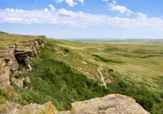 The view from Head-Smashed-In Buffalo Jump in southern Alberta. The CCA is teaming up with Ducks Unlimited Canada and the Nature Conservancy of Canada to protect Canada’s remaining native grasslands.