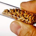 Photo: iStock