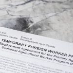 Photo: powerofforever/iStock/Getty Images