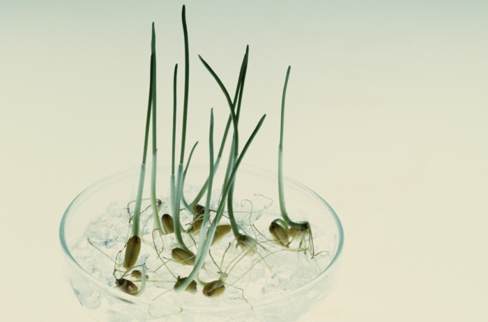 Photo: Thinkstock
