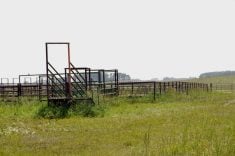 Ryan Canart offloads yearlings in this corral, then familiarizes them with electric fence in a training paddock with several wires, before turning them into paddocks with one wire.