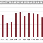 Factors influencing the feeder cattle market