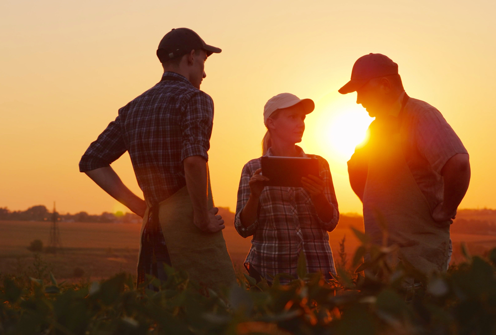 When trust between people is high, communication is often easy, instant and effective.