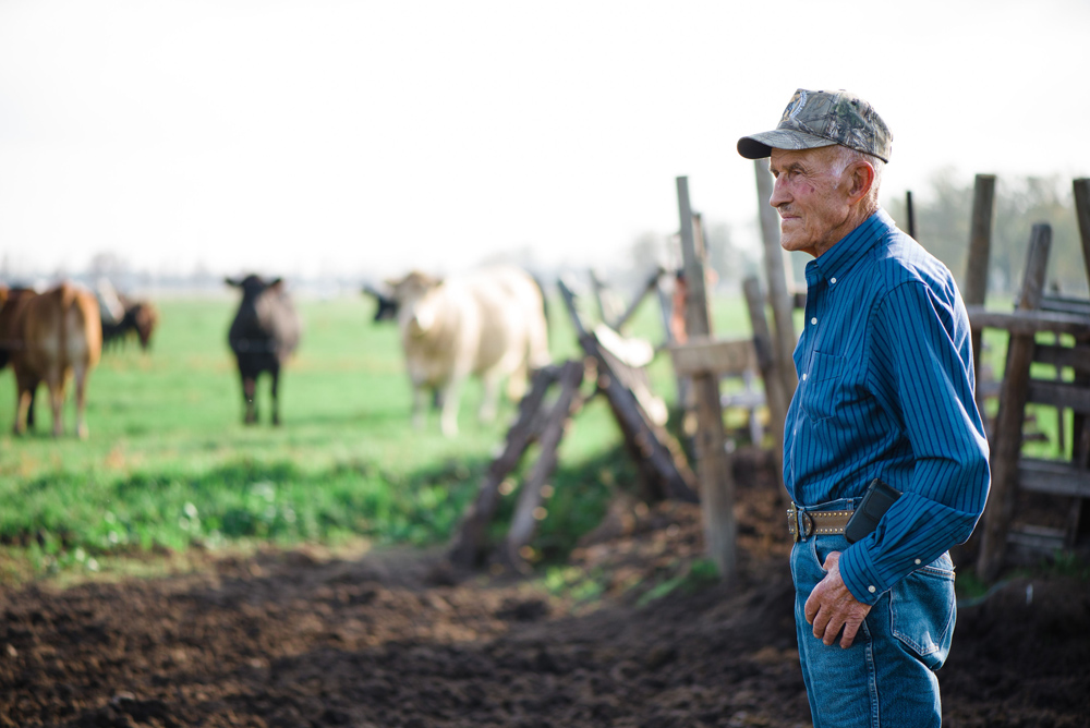 Albert Mutcher’s advice to young cattle producers is to grow the herd slowly and leverage government incentives and programs.  Photo: Mallorey Bergen